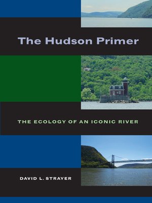 cover image of The Hudson Primer